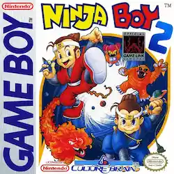 Ninja Boy 2